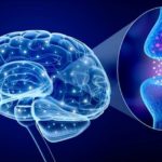 Identifican causas de resistencia al tinnitus