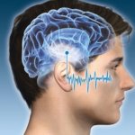 Proceso cerebral de las señales auditivas