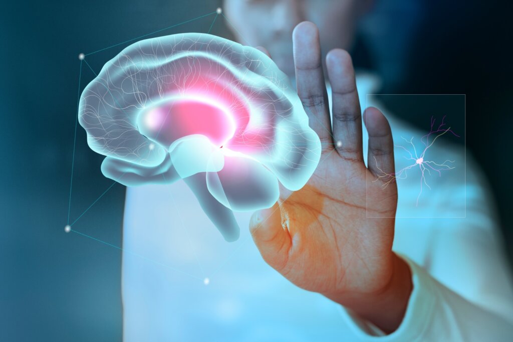 Cerebro