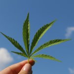 ¿Podría la marihuana aliviar el tinnitus?