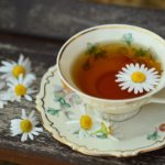 Tomar hierbas aromáticas mejora el cerebro