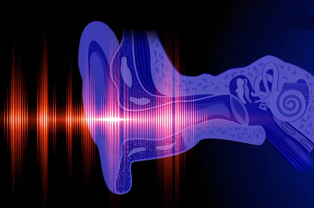 Ondas sonoras de oído interno