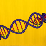 Genes DPT y SEMA3D en la enfermedad de Meniere familiar