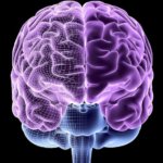 Magnesio y tinnitus