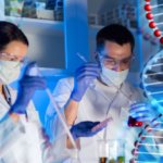 Descubrimiento abre ventana a nuevas líneas de investigación en tratamiento de pérdida auditiva