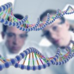 Investigadores usan terapia génica para restaurar la audición y el equilibrio en modelos de ratones