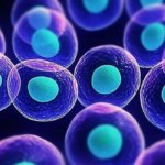 Investigadores señalan que se puede controlar la conversión de células madre en neuronas auditivas