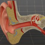 Terapia para tratar el tinnitus