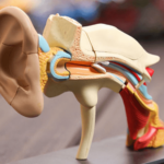 La primera Expo Tinnitus del Reino Unido realizado en Birmingham