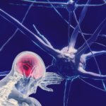 Científicos resuelven el misterio cerebral de 125 años, descubren un posible tratamiento para la epi...