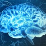 Nuevo estudio encuentra que los sonidos y las vibraciones son bastante similares para el cerebro