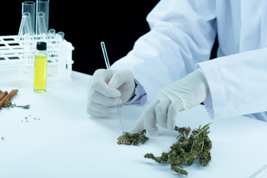 Marihuana-medicinal