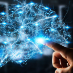 Científicos descubren cómo los circuitos neuronales juegan un papel fundamental en el aprendizaje y ...