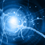 Las conversaciones electrónicas entre neuronas pronto podrían grabarse con precisión
