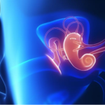Rehabilitación vestibular: una alternativa al vértigo y los mareos