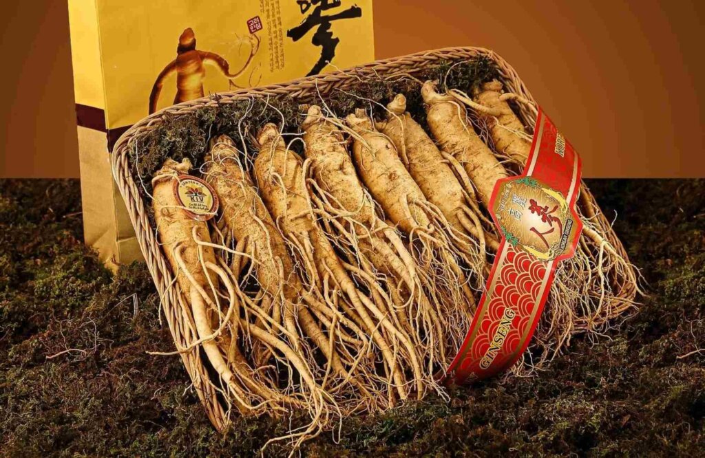 Gingseng