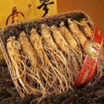 Gingseng