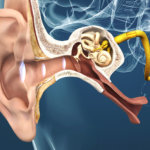 Manejo de problemas del oído: pérdida auditiva y tinnitus