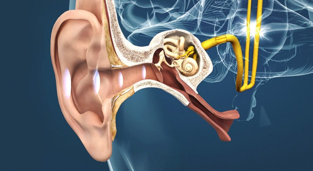 Otorgan 6 millones de euros para un proyecto interdisciplinario de investigación del tinnitus