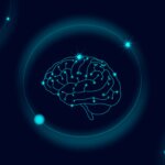 Arrojan luz sobre las actividades neuronales anormales