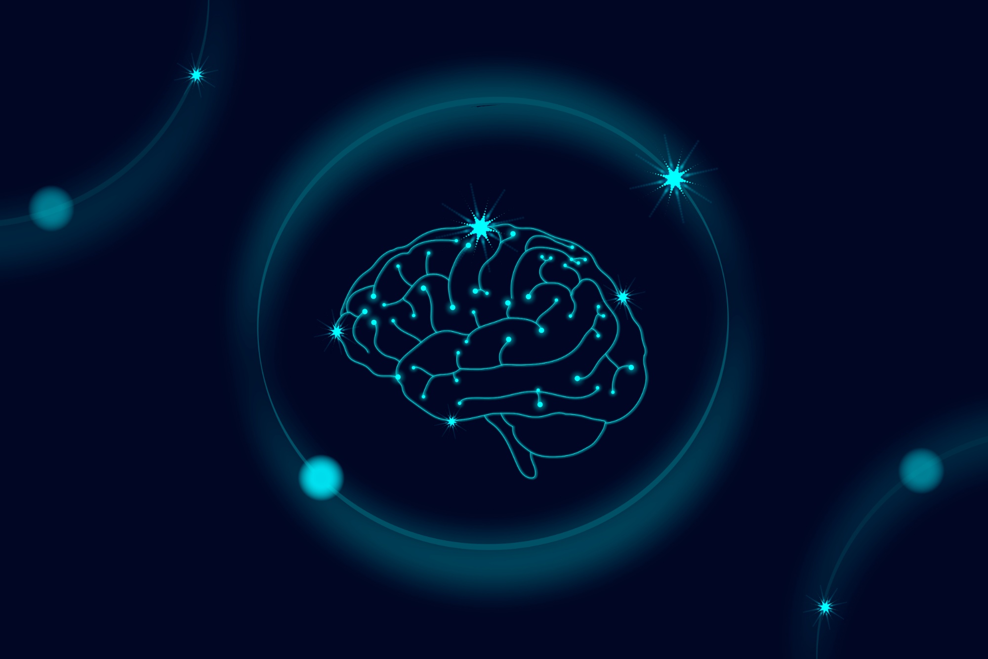 Arrojan luz sobre las actividades neuronales anormales