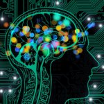 Modelo de computadora del cerebro proporciona información sobre el daño causado por un derrame cereb...