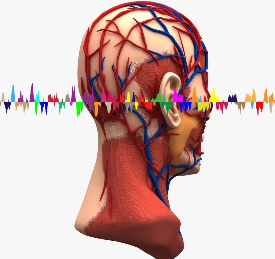 El Misterio Del Tinnitus