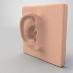 Cómo prevenir que los cristales del oído interno se desprendan