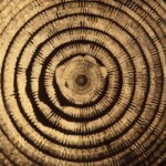 El Hum: Un sonido enloquecedor