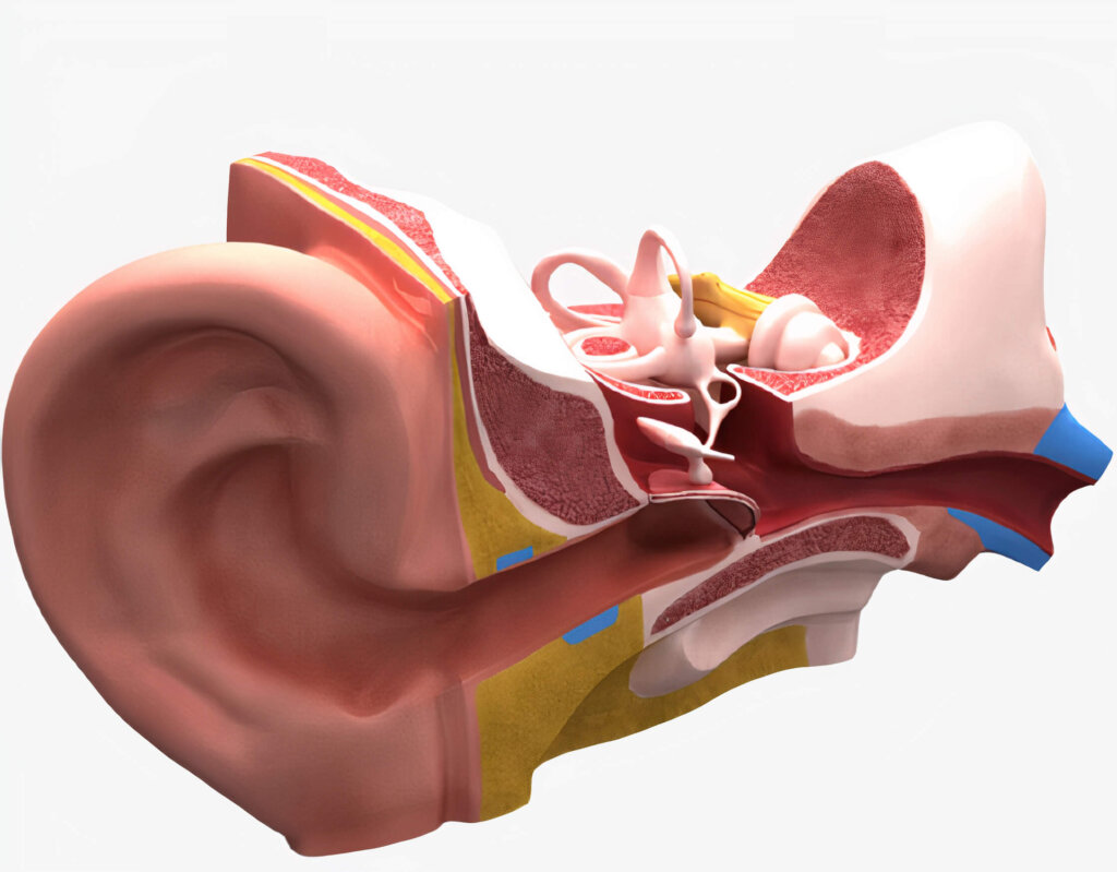 tinnitus y pérdida audiiva