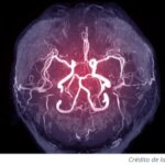 La corteza auditiva primaria del cerebro favorece las vocalizaciones positivas que provienen del lad...