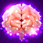 Impactante estudio revela cómo el tinnitus remodela las conexiones del cerebro