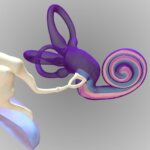 Suplemento en estudio podría ayudar al tinnitus asociado a la sordera súbita: qué dice la ciencia