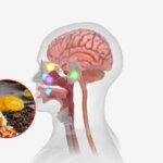 ¿Comés esto todos los días? Los alimentos comunes que podrían empeorar el tinnitus (y los que ayudar...