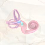 Tinnitus e inflamación: ¿puede el sistema inmunitario estar detrás de los acúfenos?