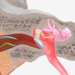 Tinnitus: los 10 tratamientos más prometedores según la evidencia científica